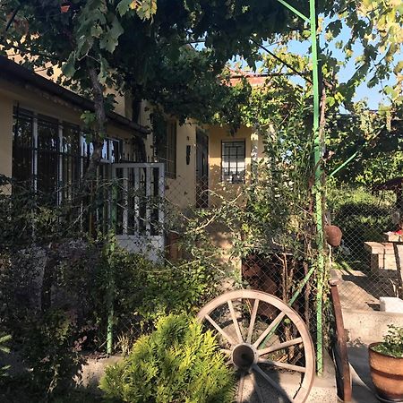 Guesthouse Planinsko Gnezdo Tŭzha Εξωτερικό φωτογραφία