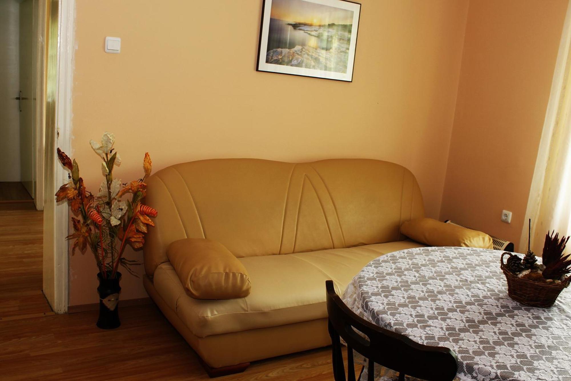 Guesthouse Planinsko Gnezdo Tŭzha Εξωτερικό φωτογραφία