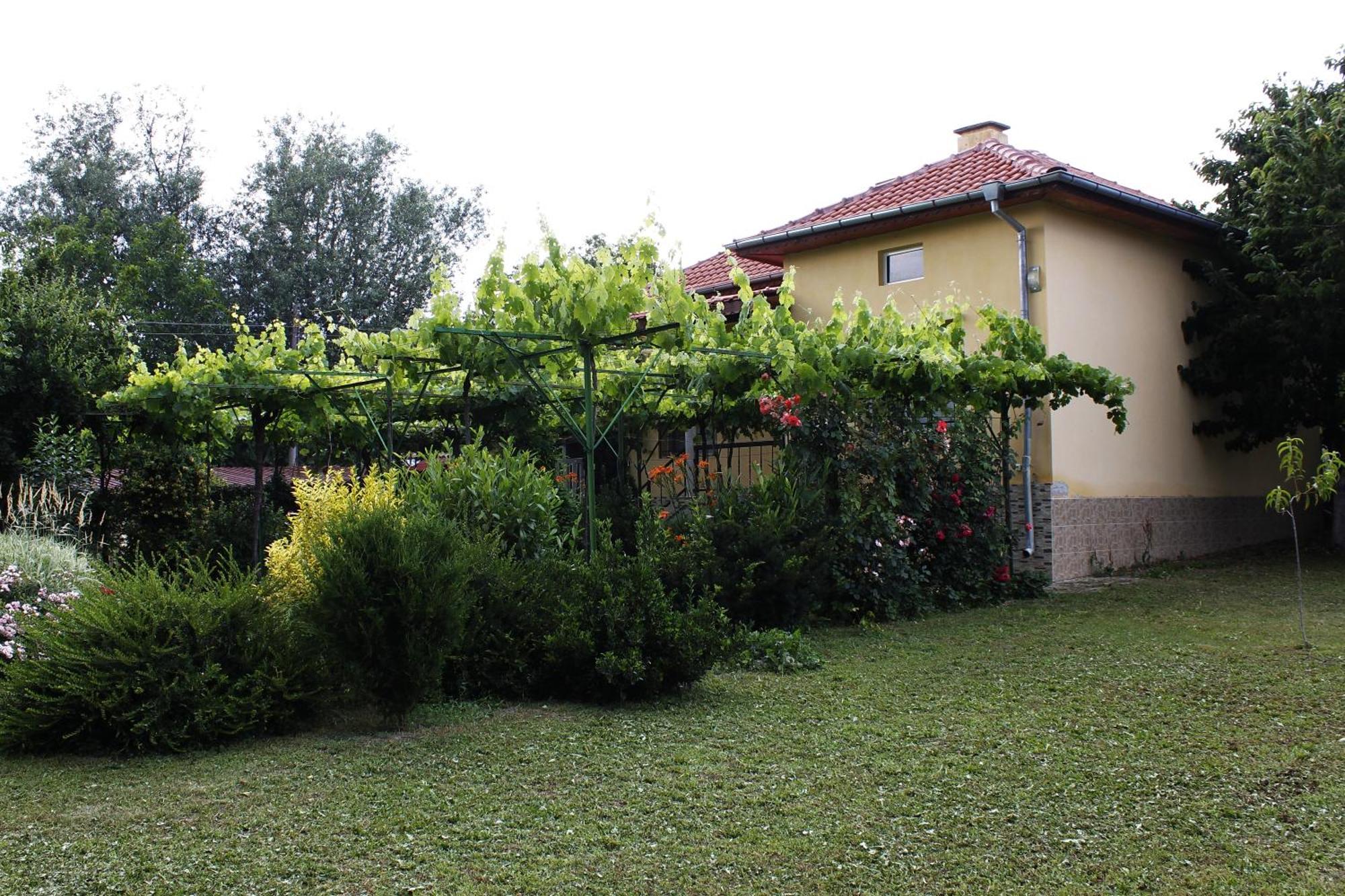 Guesthouse Planinsko Gnezdo Tŭzha Εξωτερικό φωτογραφία