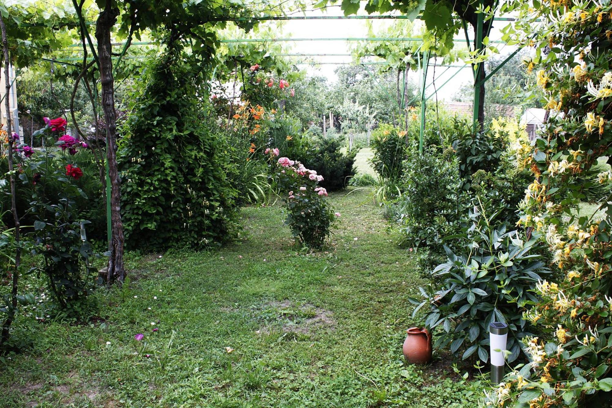 Guesthouse Planinsko Gnezdo Tŭzha Εξωτερικό φωτογραφία