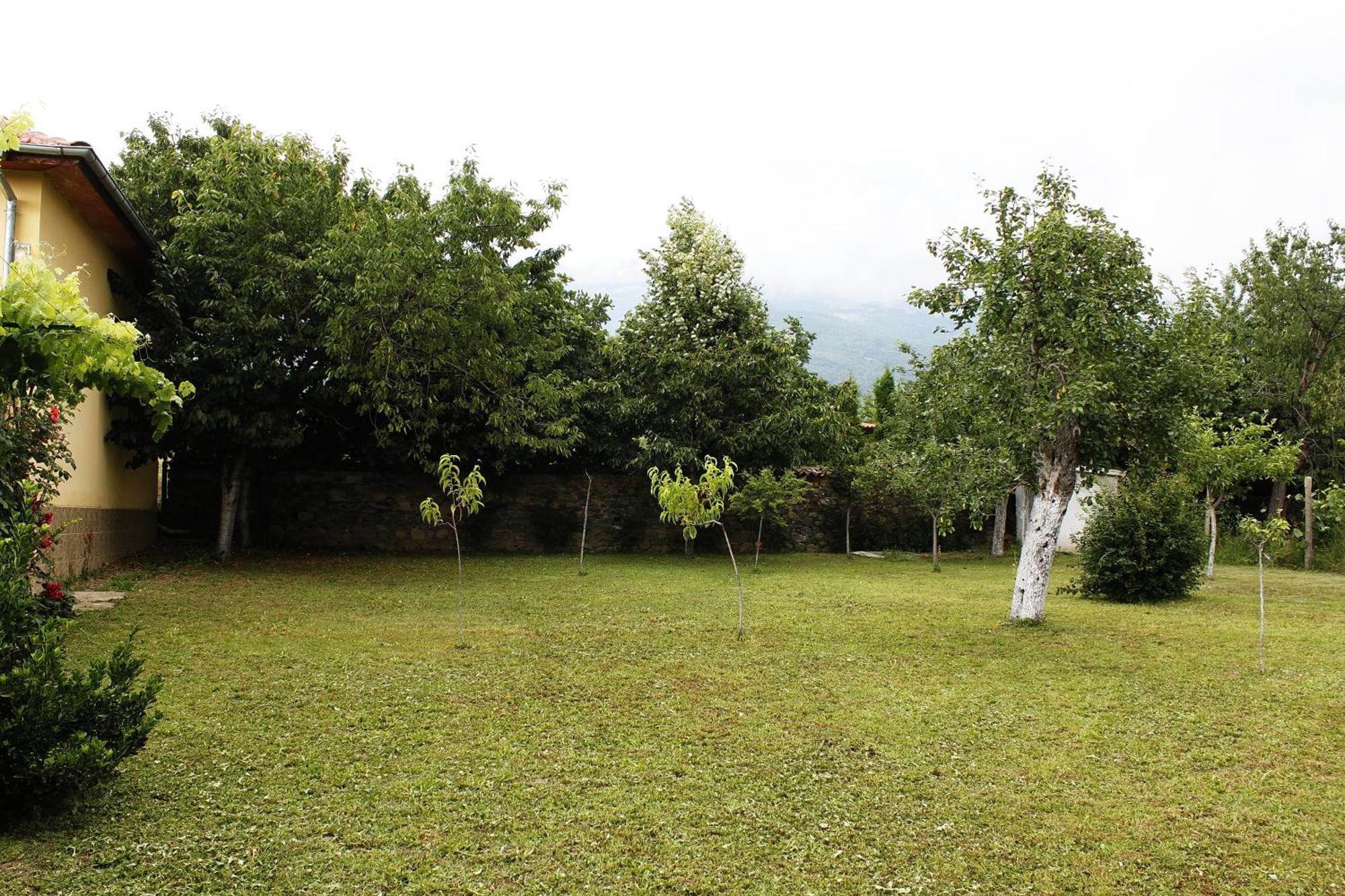 Guesthouse Planinsko Gnezdo Tŭzha Εξωτερικό φωτογραφία