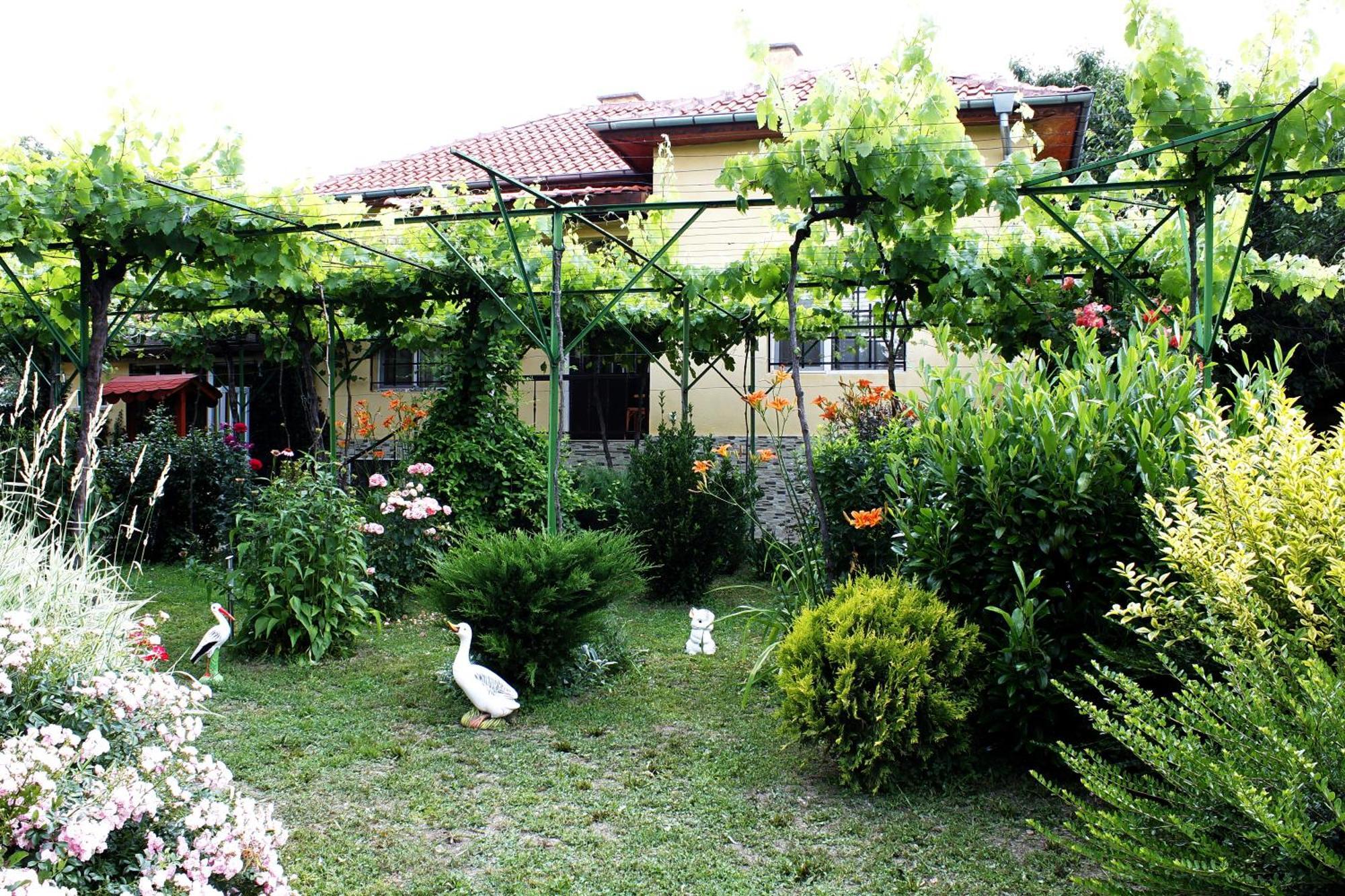 Guesthouse Planinsko Gnezdo Tŭzha Εξωτερικό φωτογραφία