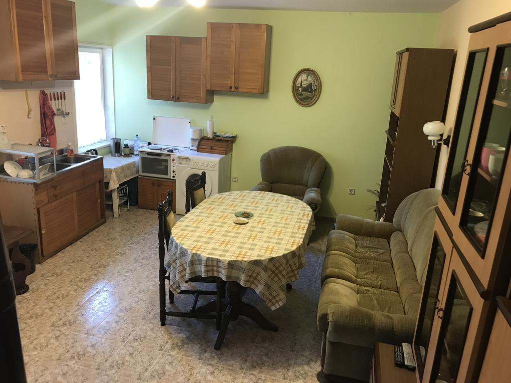 Guesthouse Planinsko Gnezdo Tŭzha Εξωτερικό φωτογραφία