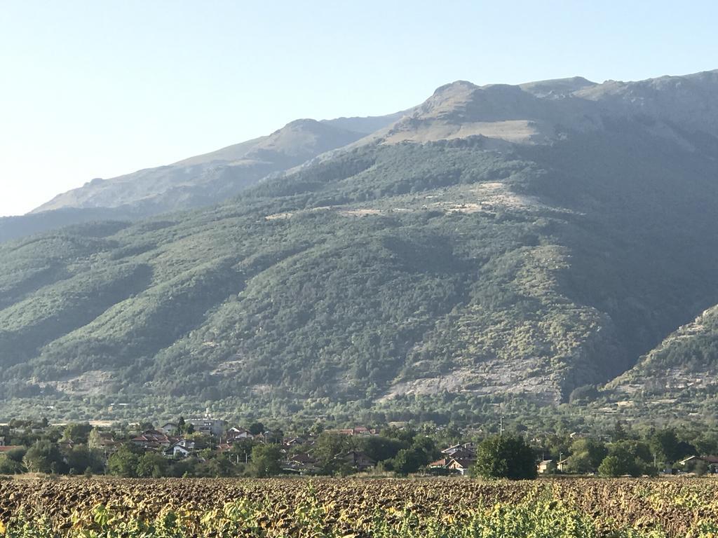 Guesthouse Planinsko Gnezdo Tŭzha Εξωτερικό φωτογραφία