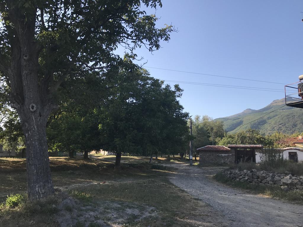 Guesthouse Planinsko Gnezdo Tŭzha Εξωτερικό φωτογραφία