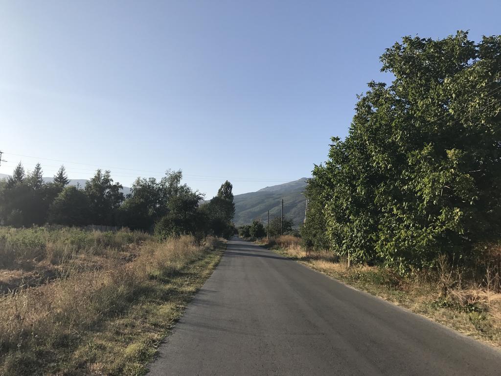 Guesthouse Planinsko Gnezdo Tŭzha Εξωτερικό φωτογραφία