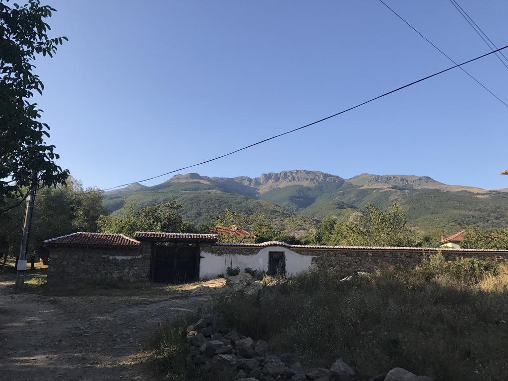 Guesthouse Planinsko Gnezdo Tŭzha Εξωτερικό φωτογραφία