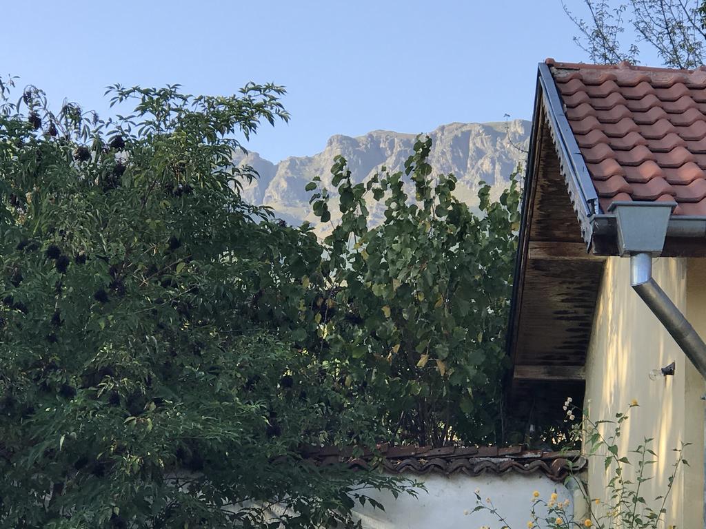 Guesthouse Planinsko Gnezdo Tŭzha Εξωτερικό φωτογραφία
