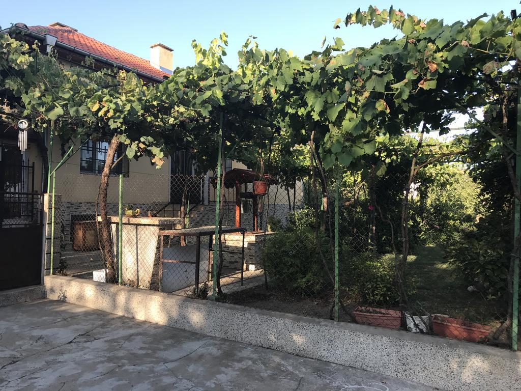 Guesthouse Planinsko Gnezdo Tŭzha Εξωτερικό φωτογραφία