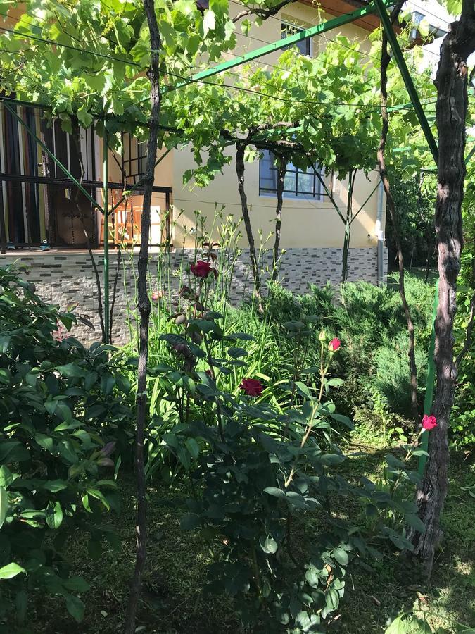 Guesthouse Planinsko Gnezdo Tŭzha Εξωτερικό φωτογραφία