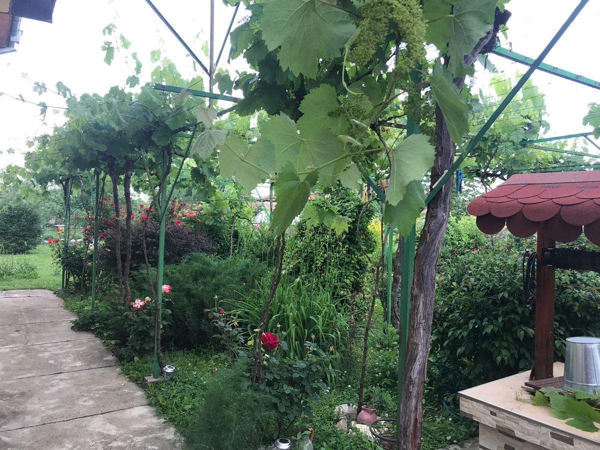 Guesthouse Planinsko Gnezdo Tŭzha Εξωτερικό φωτογραφία