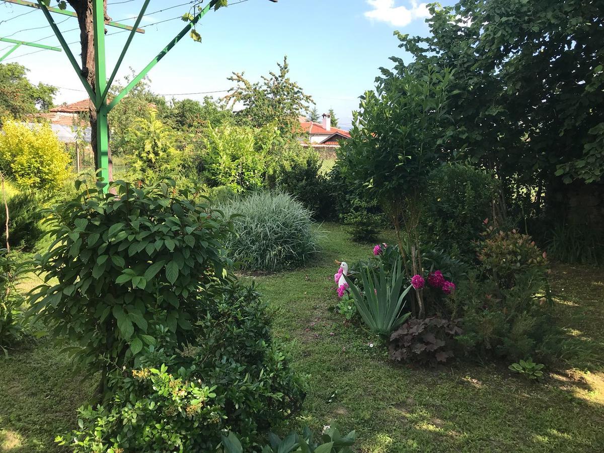 Guesthouse Planinsko Gnezdo Tŭzha Εξωτερικό φωτογραφία